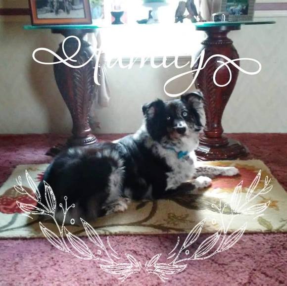 weaverdebbie48